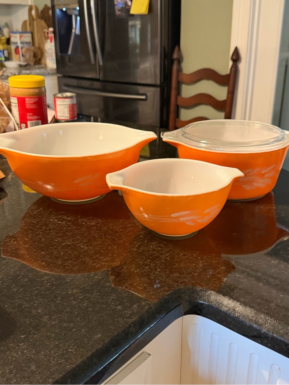 Pyrex “Autumn Harvest” Orange Feathered Mixing Bowl Set with Lid - 3 Piece